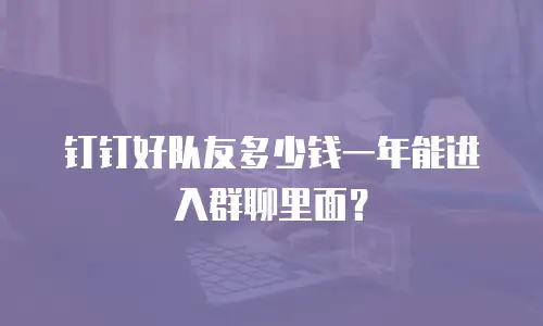 钉钉好队友多少钱一年能进入群聊里面？