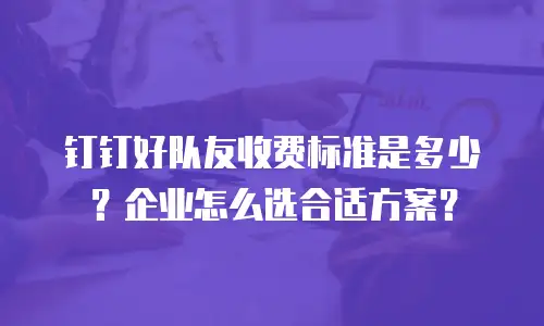 钉钉好队友收费标准是多少？企业怎么选合适方案？