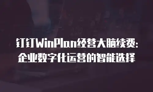 钉钉WinPlan经营大脑续费：企业数字化运营的智能选择