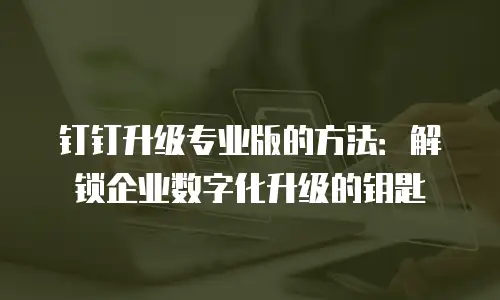 钉钉升级专业版的方法：解锁企业数字化升级的钥匙