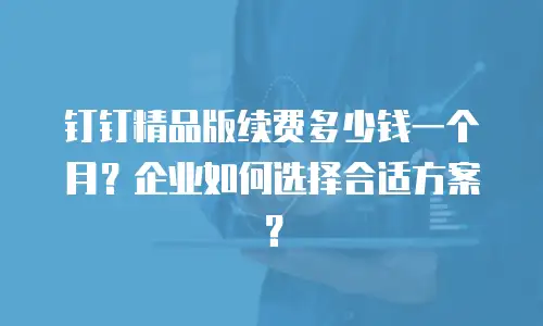 钉钉精品版续费多少钱一个月？企业如何选择合适方案？
