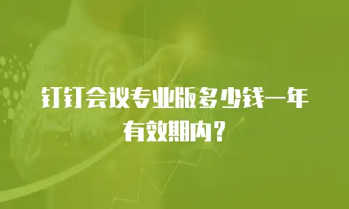 钉钉会议专业版多少钱一年有效期内？