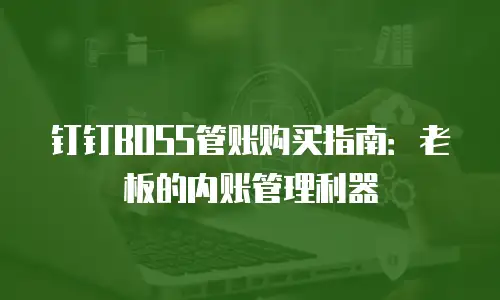 钉钉BOSS管账购买指南：老板的内账管理利器