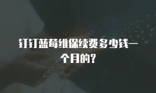 钉钉蓝莓维保续费多少钱一个月的？