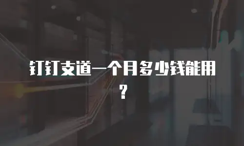 钉钉支道一个月多少钱能用？