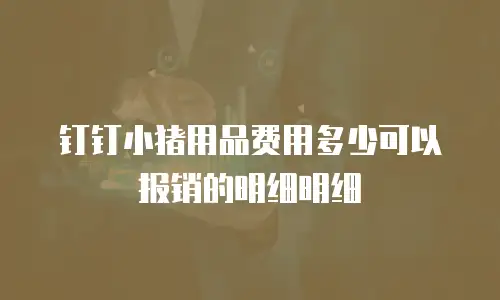 钉钉小猪用品费用多少可以报销的明细明细
