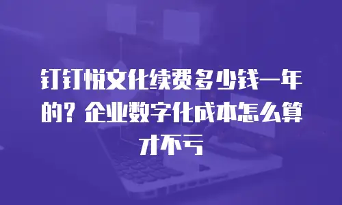 钉钉悦文化续费多少钱一年的？企业数字化成本怎么算才不亏