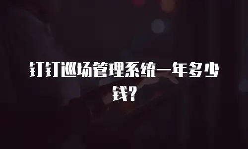 钉钉巡场管理系统一年多少钱？