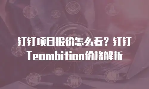钉钉项目报价怎么看？钉钉Teambition价格解析