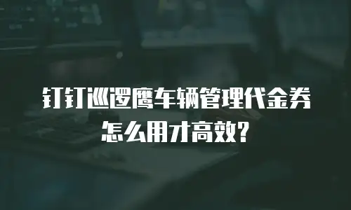 钉钉巡逻鹰车辆管理代金券怎么用才高效？