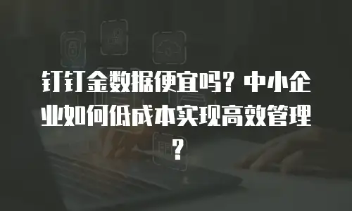 钉钉金数据便宜吗？中小企业如何低成本实现高效管理？