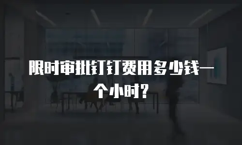 限时审批钉钉费用多少钱一个小时？