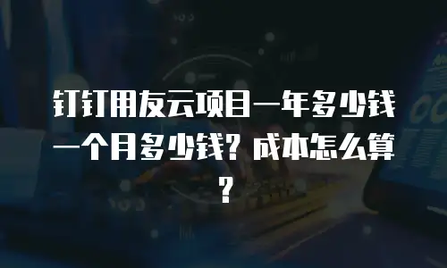 钉钉用友云项目一年多少钱一个月多少钱？成本怎么算？