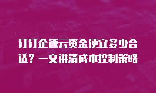 钉钉企速云资金便宜多少合适？一文讲清成本控制策略
