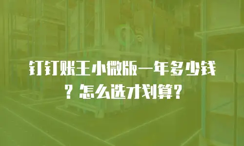 钉钉账王小微版一年多少钱？怎么选才划算？