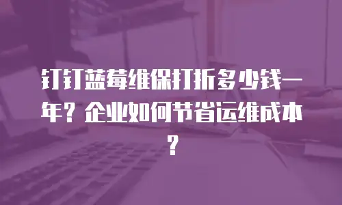钉钉蓝莓维保打折多少钱一年？企业如何节省运维成本？