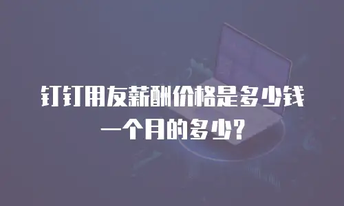 钉钉用友薪酬价格是多少钱一个月的多少？