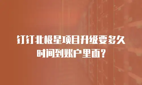 钉钉北极星项目升级要多久时间到账户里面？