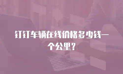 钉钉车辆在线价格多少钱一个公里？