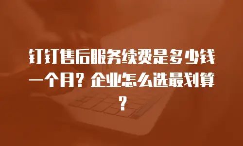 钉钉售后服务续费是多少钱一个月？企业怎么选最划算？