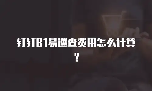钉钉B1易巡查费用怎么计算？