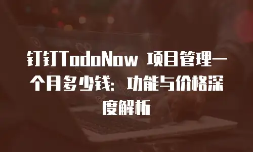 钉钉TodoNow 项目管理一个月多少钱：功能与价格深度解析
