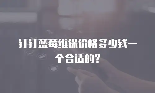 钉钉蓝莓维保价格多少钱一个合适的？