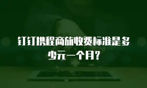 钉钉携程商旅收费标准是多少元一个月？