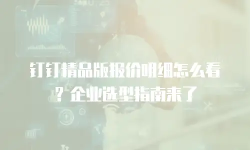 钉钉精品版报价明细怎么看？企业选型指南来了
