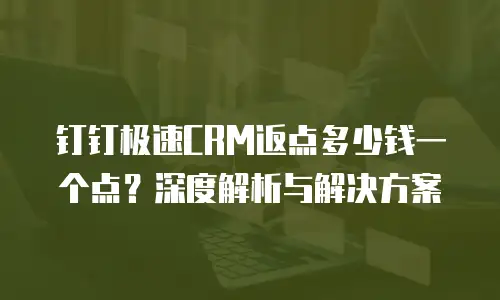 钉钉极速CRM返点多少钱一个点？深度解析与解决方案
