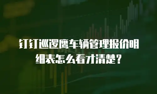 钉钉巡逻鹰车辆管理报价明细表怎么看才清楚？