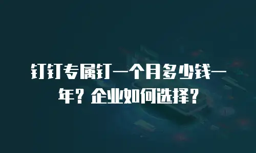 钉钉专属钉一个月多少钱一年？企业如何选择？
