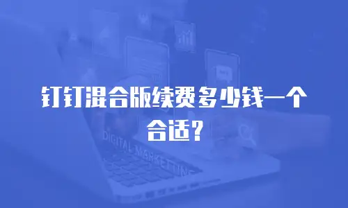 钉钉混合版续费多少钱一个合适？