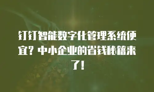 钉钉智能数字化管理系统便宜？中小企业的省钱秘籍来了！