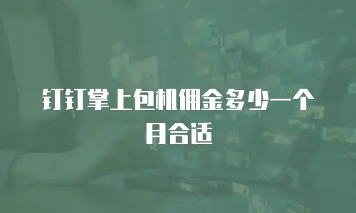 钉钉掌上包机佣金多少一个月合适