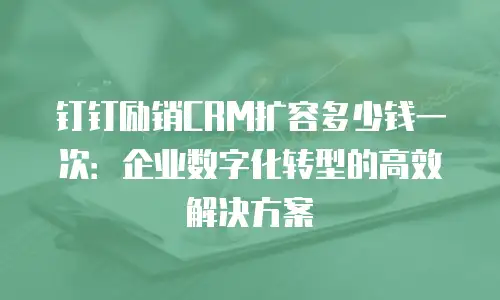 钉钉励销CRM扩容多少钱一次：企业数字化转型的高效解决方案