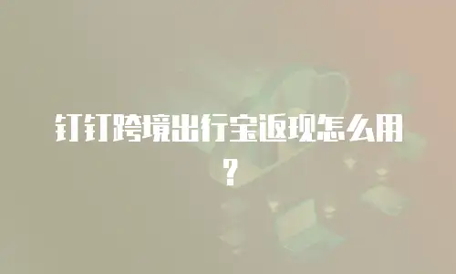 钉钉跨境出行宝返现怎么用？
