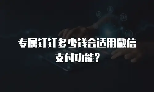 专属钉钉多少钱合适用微信支付功能？