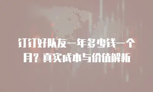 钉钉好队友一年多少钱一个月？真实成本与价值解析
