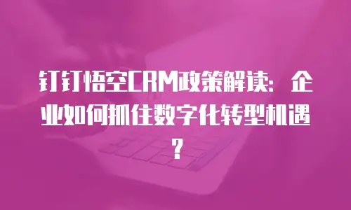 钉钉悟空CRM政策解读：企业如何抓住数字化转型机遇？
