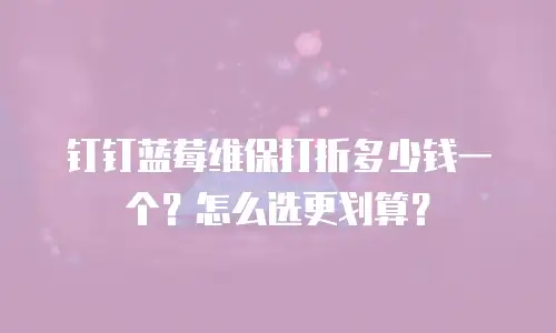 钉钉蓝莓维保打折多少钱一个？怎么选更划算？