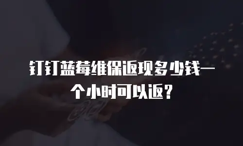 钉钉蓝莓维保返现多少钱一个小时可以返？