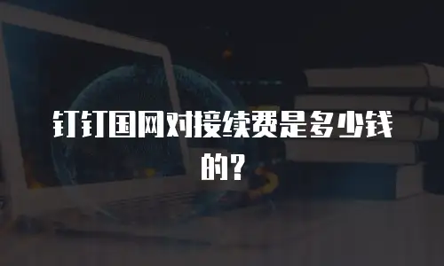 钉钉国网对接续费是多少钱的？