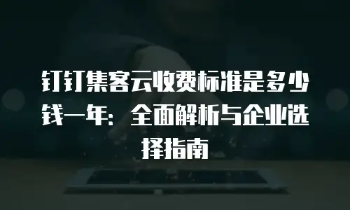 钉钉集客云收费标准是多少钱一年：全面解析与企业选择指南
