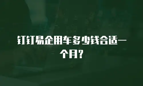 钉钉易企用车多少钱合适一个月？