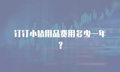 钉钉小猪用品费用多少一年？