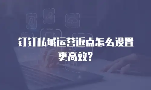 钉钉私域运营返点怎么设置更高效？