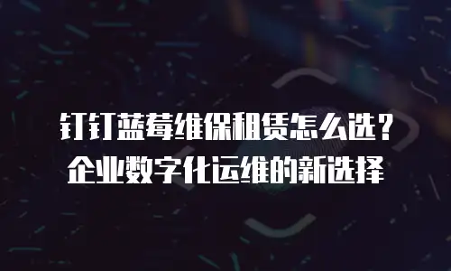 钉钉蓝莓维保租赁怎么选？企业数字化运维的新选择