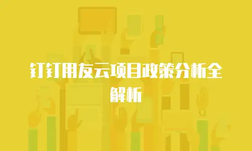 钉钉用友云项目政策分析全解析
