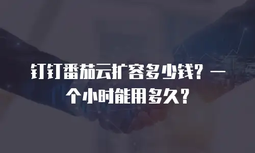 钉钉番茄云扩容多少钱？一个小时能用多久？